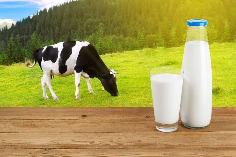 «ЭкоНива» осталась лидером РФ по производству сырого молока   